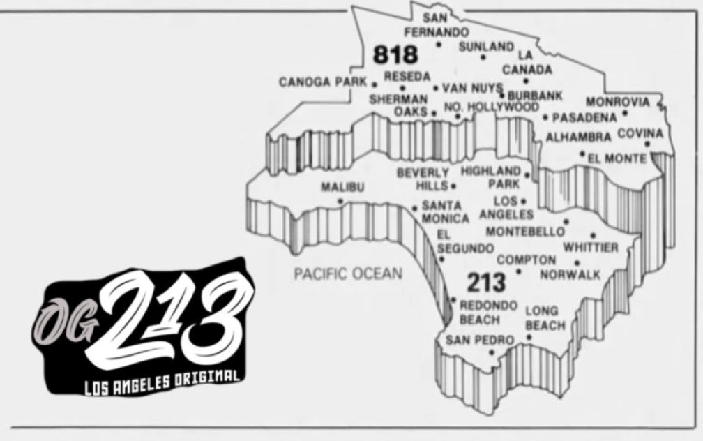 History of 213